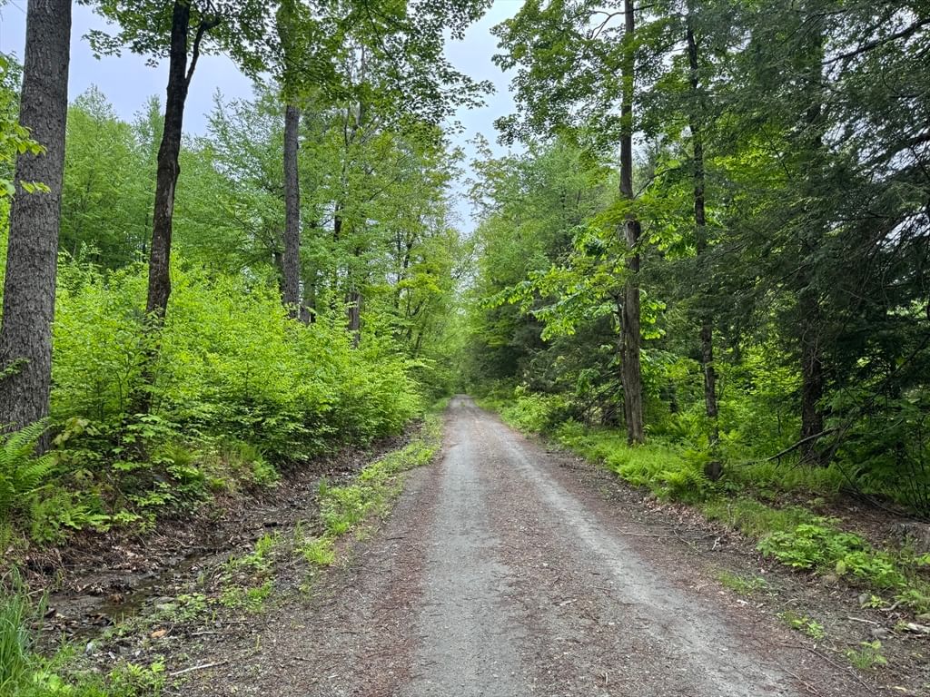 Lot B Beulah Land Rd Blandford — Photo 6 of 17