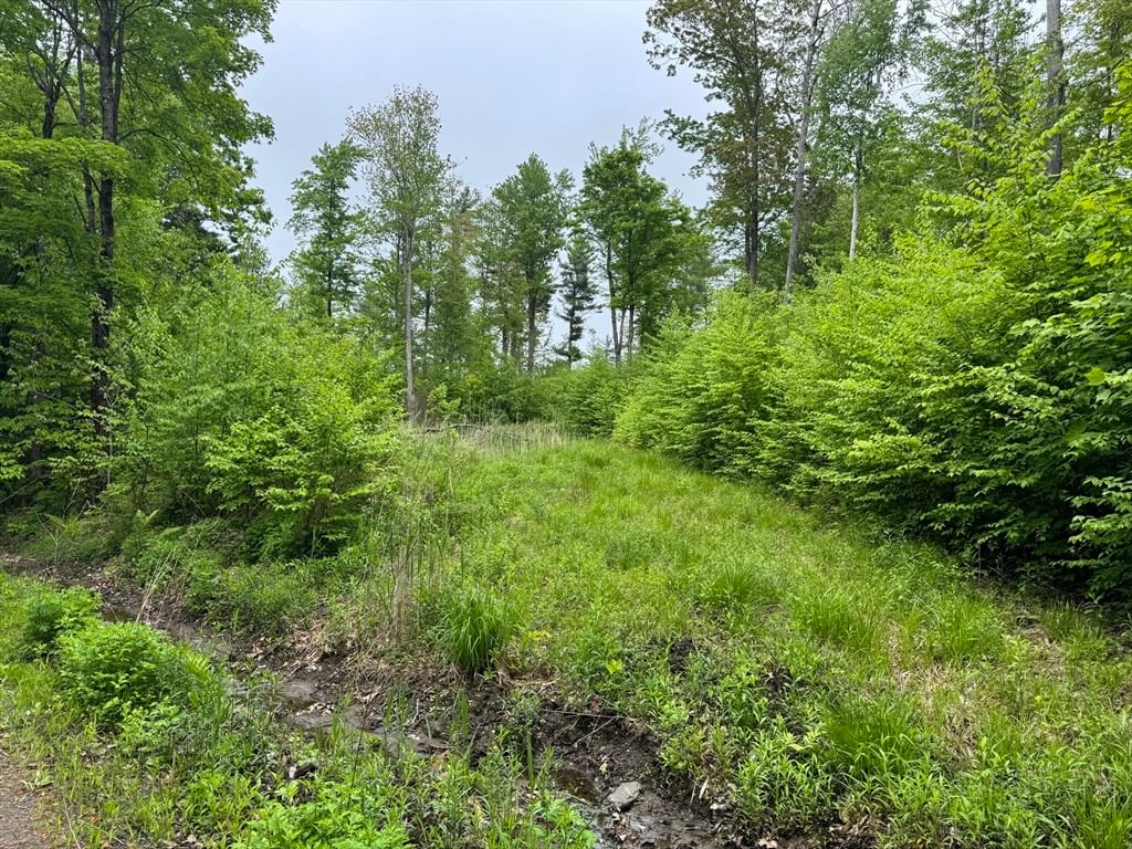 Lot B Beulah Land Rd Blandford — Photo 9 of 17