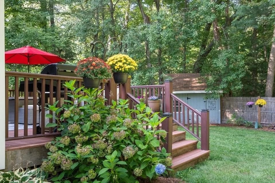 75 Westview Street Lexington — Photo 34 of 34