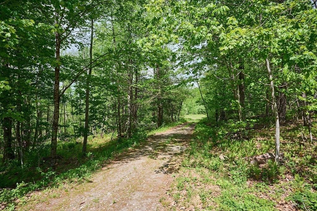 72 Charlemont Road, Buckland, MA 01338 photo 5