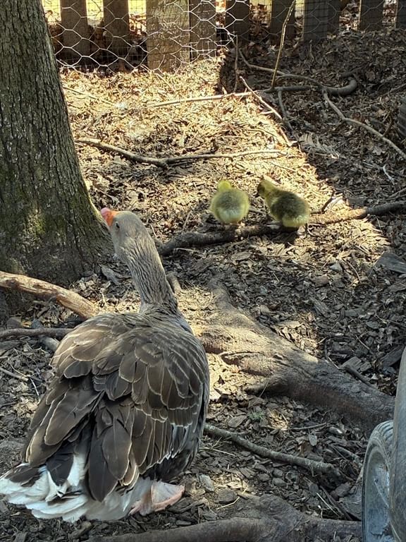 151 Summer St Rehoboth — Photo 38 of 42