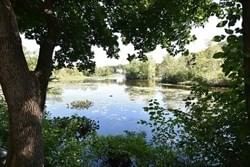 4D Forge Pond #D Canton — Photo 39 of 41