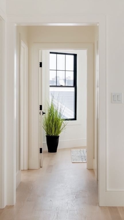 387 Norfolk St #3 Cambridge — Photo 15 of 33