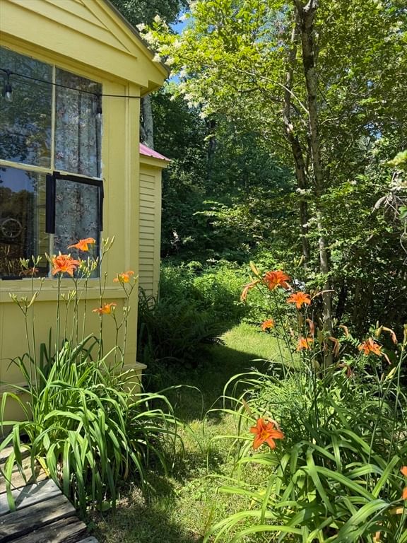 55 Ashfield Rd, Conway, MA 01341 photo 5