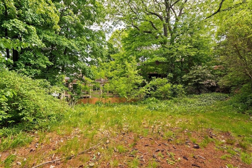 212 Chestnut Ave Boston — Photo 27 of 38