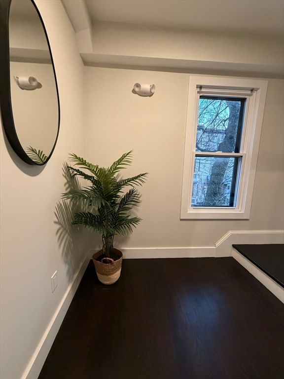 57 Hurley St. #3 Cambridge — Photo 21 of 30