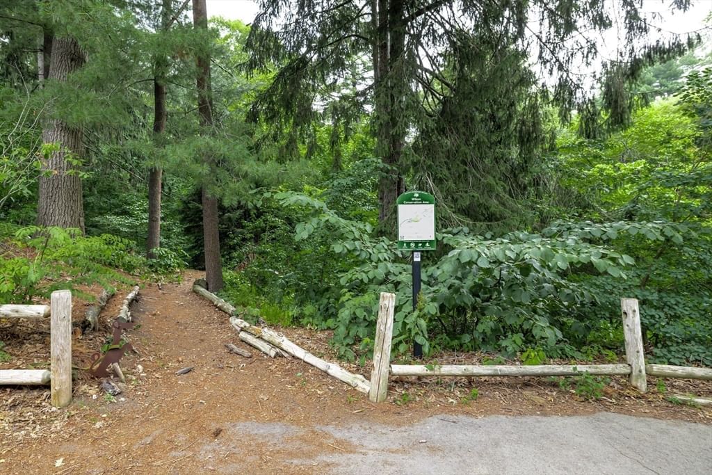 22 Bracebridge Road Newton — Photo 37 of 39