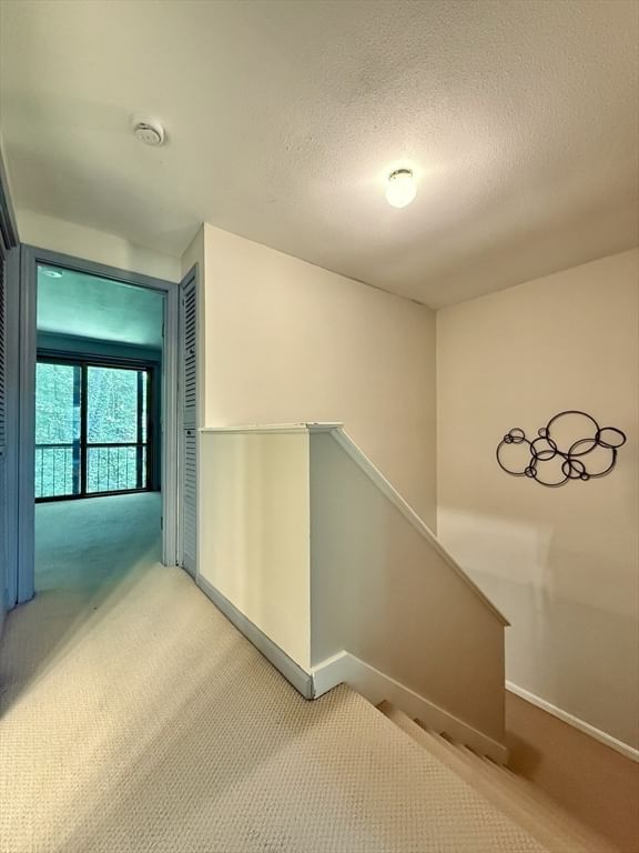 162 Prospect Ave #7 Northampton — Photo 9 of 22