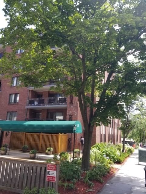 30 Stearns Rd #502, Brookline, MA, 30 Stearns Rd #502, Brookline, MA Photo #1