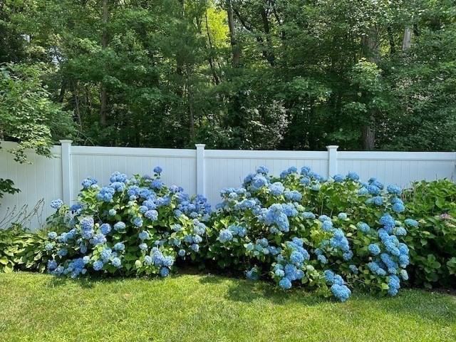 18 Hart St, Burlington, MA, 18 Hart St, Burlington, MA Photo #7