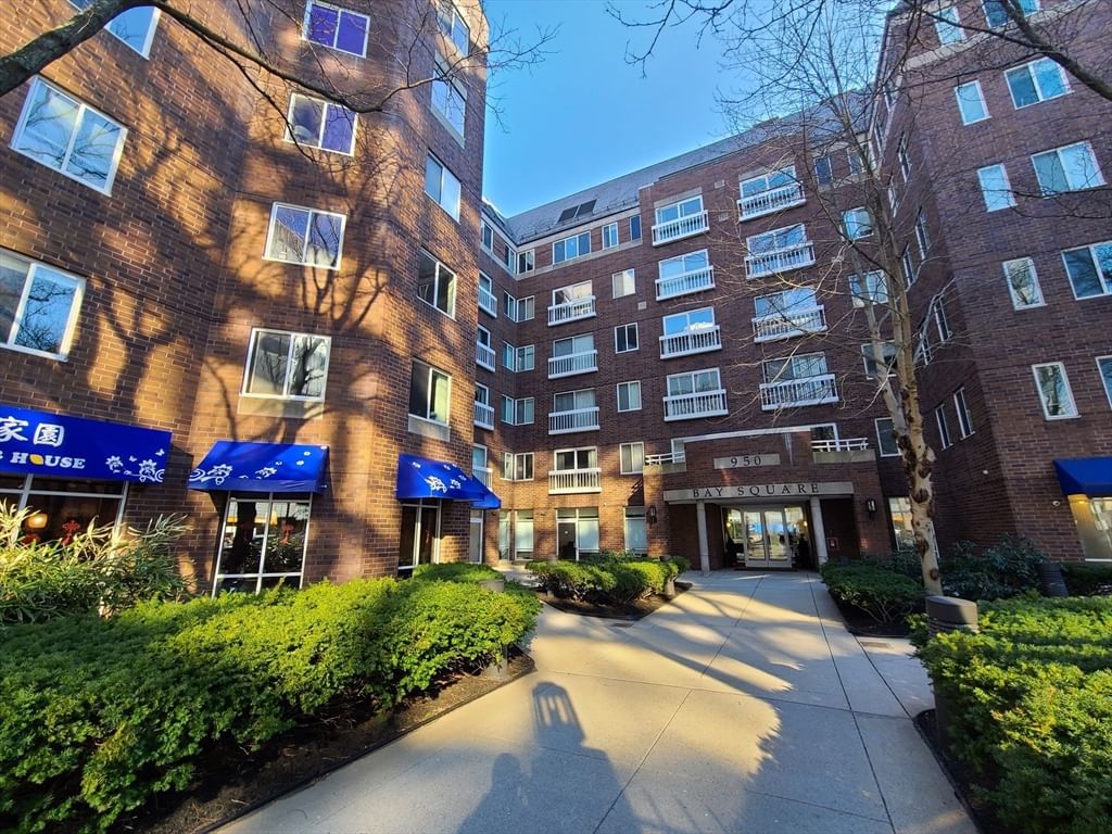 950 Mass Ave #302, Cambridge, MA, 950 Mass Ave #302, Cambridge, MA Photo #1