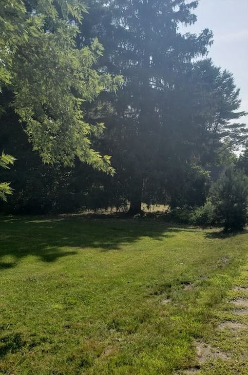 4 Russell Stage Rd, Blandford, MA Photo #3