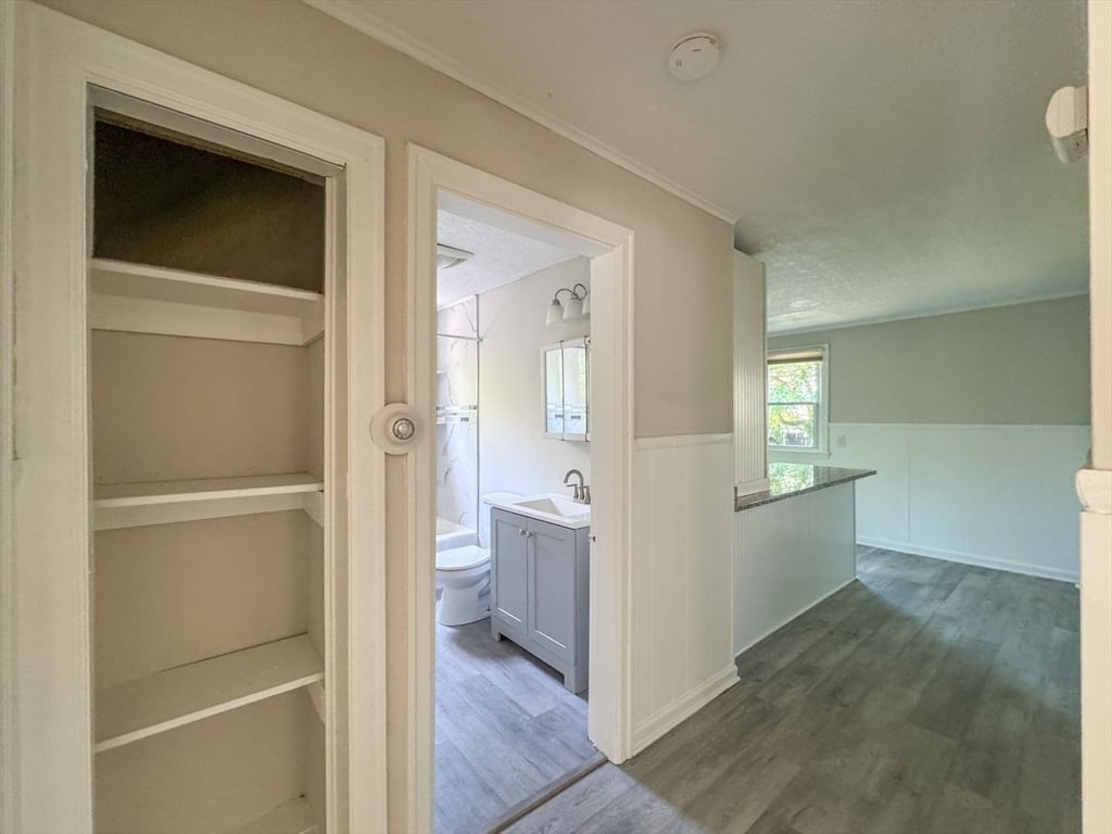 4 Wolfe St Springfield — Photo 12 of 24
