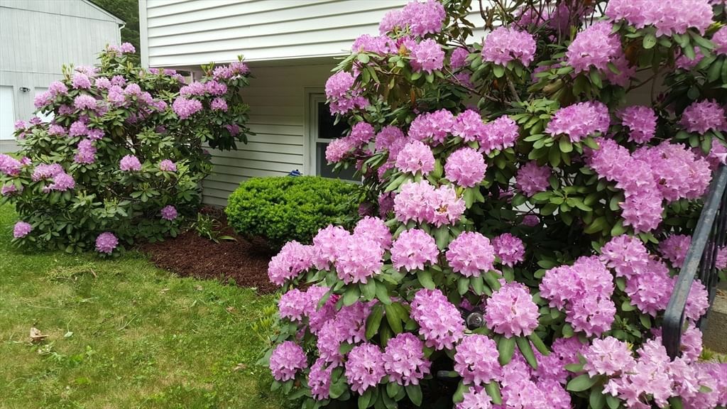 48 Badger Rd Framingham — Photo 38 of 42