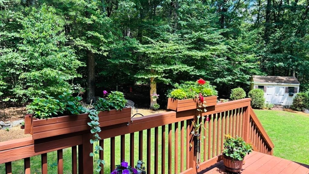 152 Forest Street, Franklin, MA Photo #3
