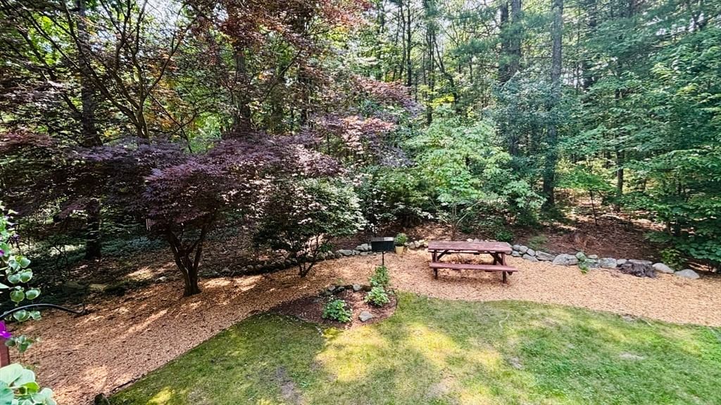 152 Forest Street, Franklin, MA Photo #31
