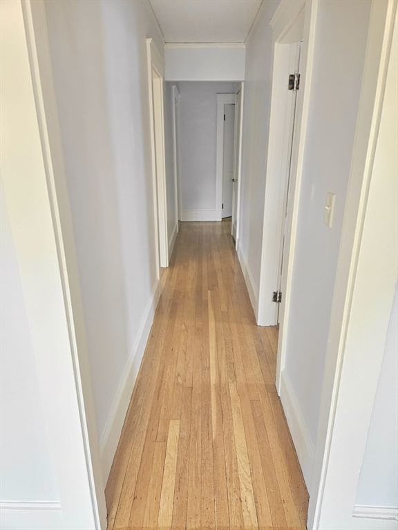 19 Rowe St #2, Newton, MA Photo #10