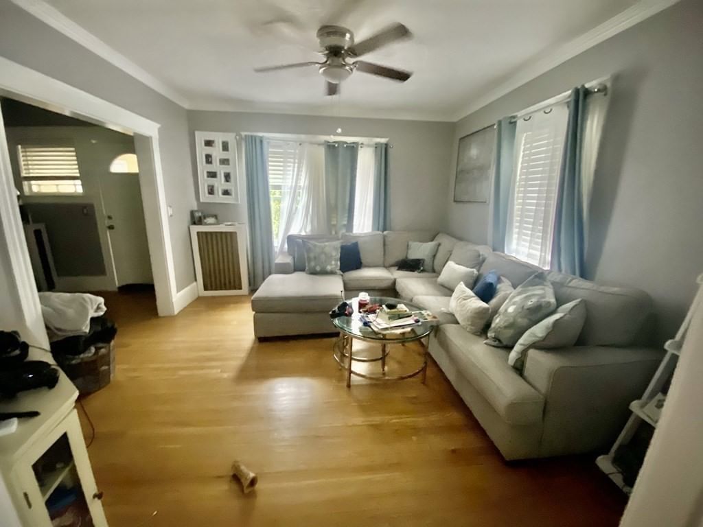 232 Austin St #1, Boston, MA, 232 Austin St #1, Boston, MA Photo #4