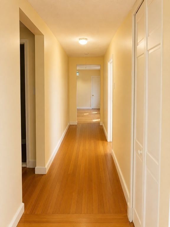 394 Broadway #2, Somerville, MA Photo #9
