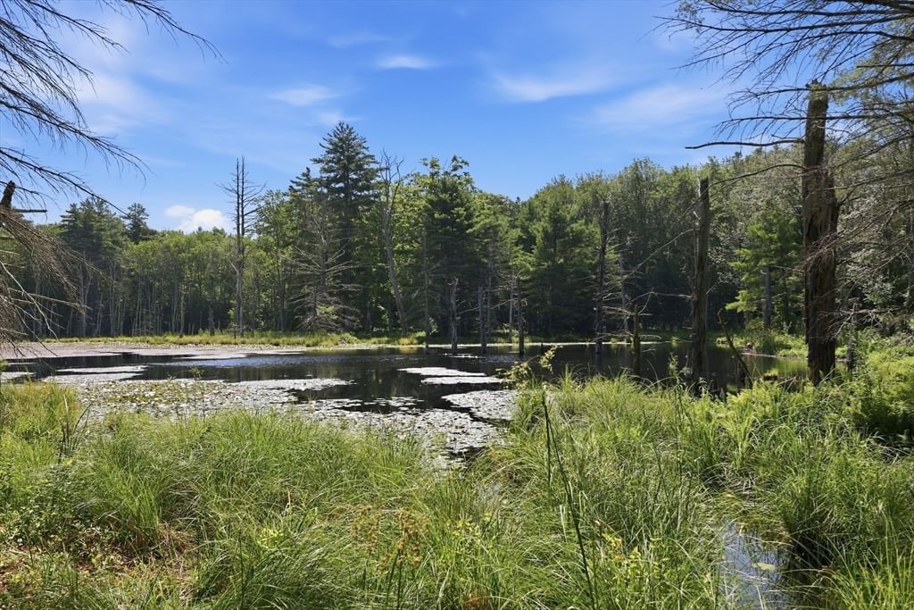 272 Aldrich St, Belchertown, MA, 272 Aldrich St, Belchertown, MA Photo #38
