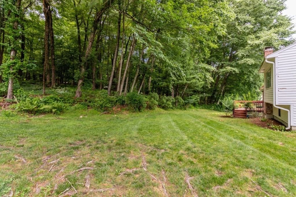 5 Tomkins Ln Framingham — Photo 6 of 37