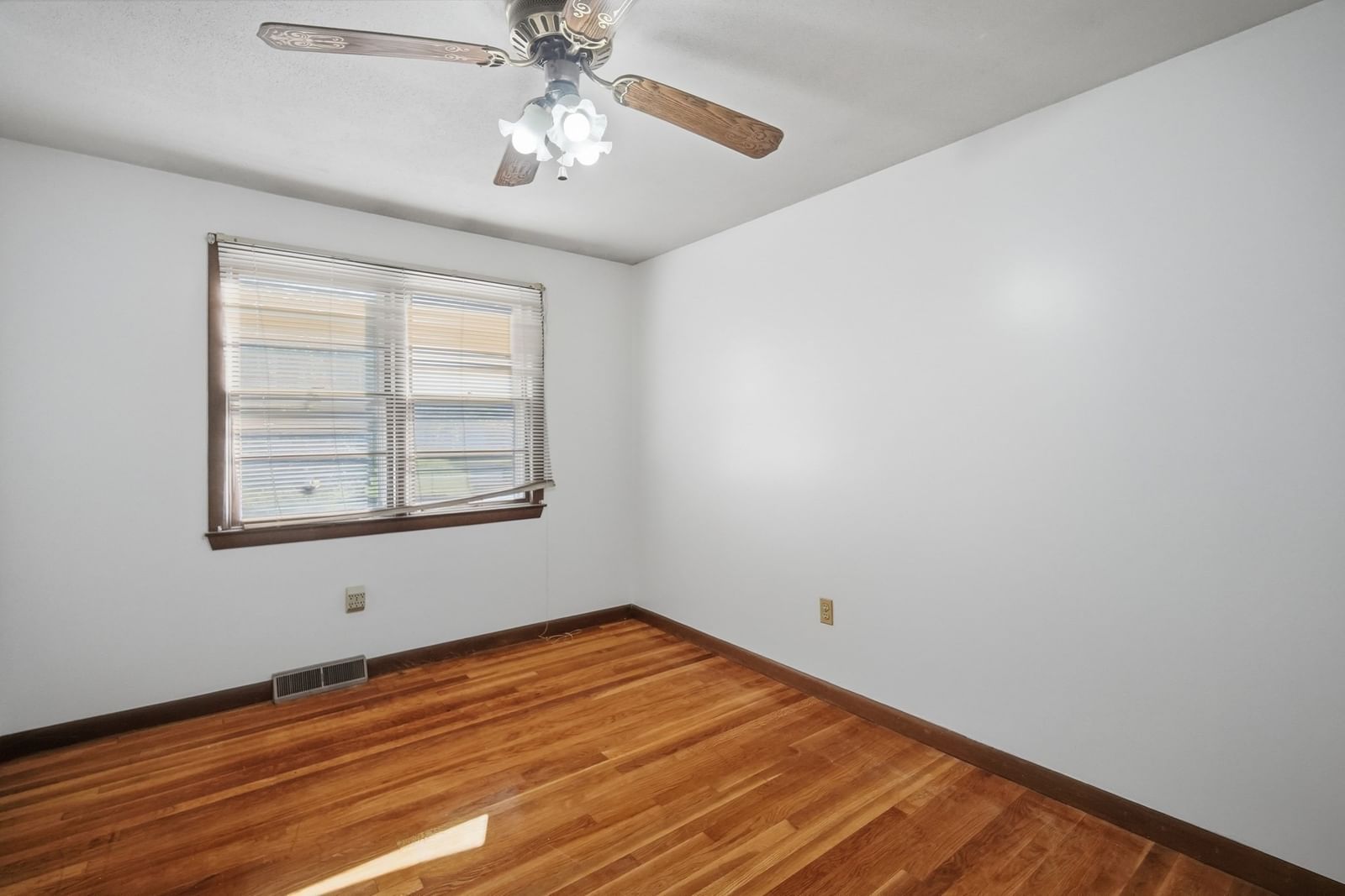 74 Leatherleaf Dr Springfield — Photo 12 of 25