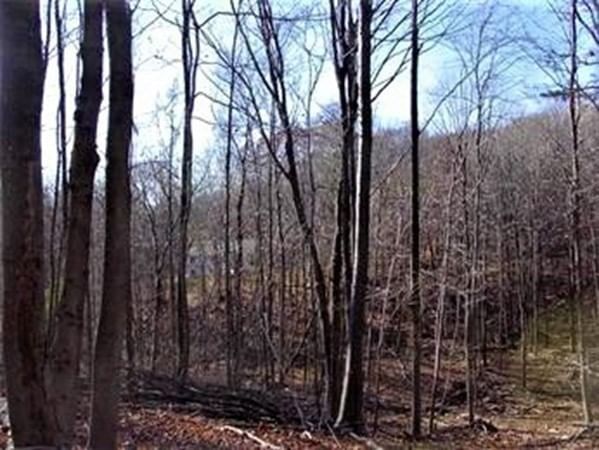 480 Mountain Road Wilbraham — Photo 3 of 4