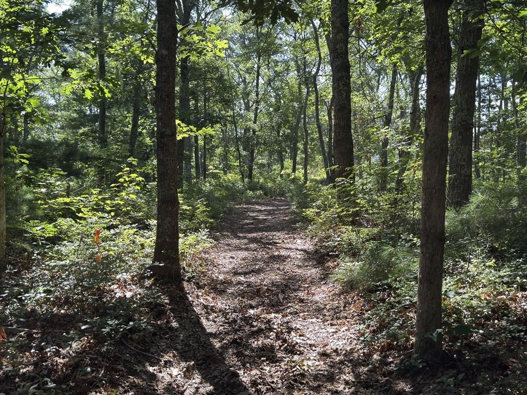 202 Ashumet Rd. Falmouth — Photo 2 of 39