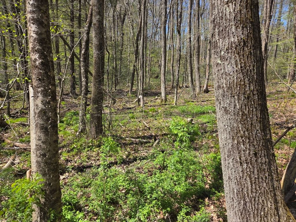 0 Union Road Holland — Photo 4 of 5