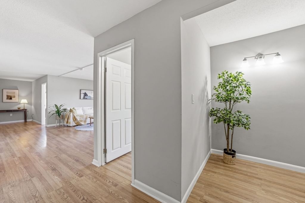 30 Stearns Road #505 Brookline — Photo 8 of 33