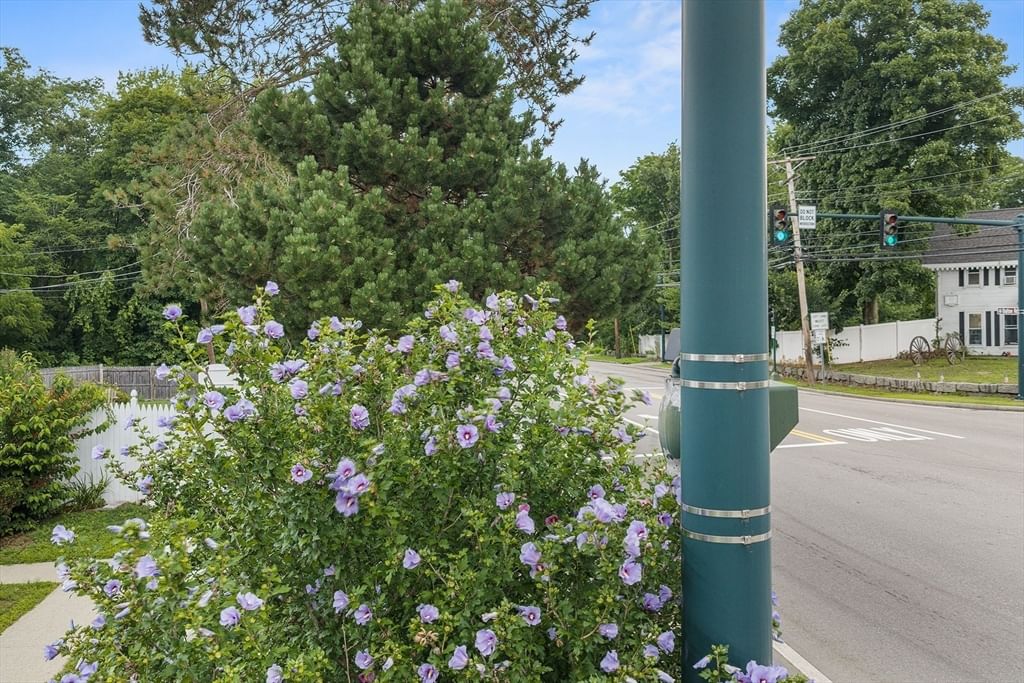 74 North Rd Chelmsford — Photo 34 of 35