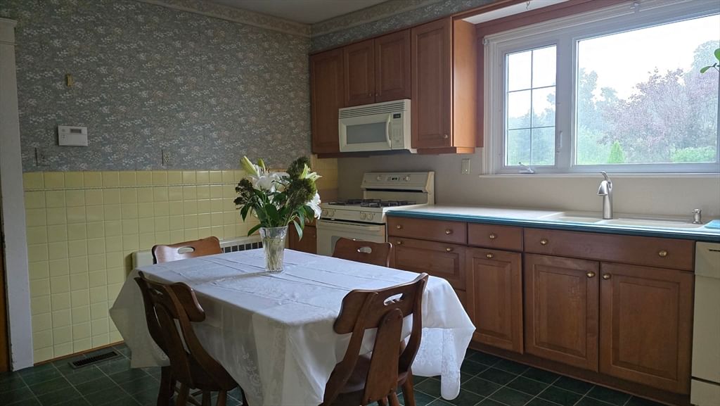 21 Arbutus Road Worcester — Photo 28 of 36