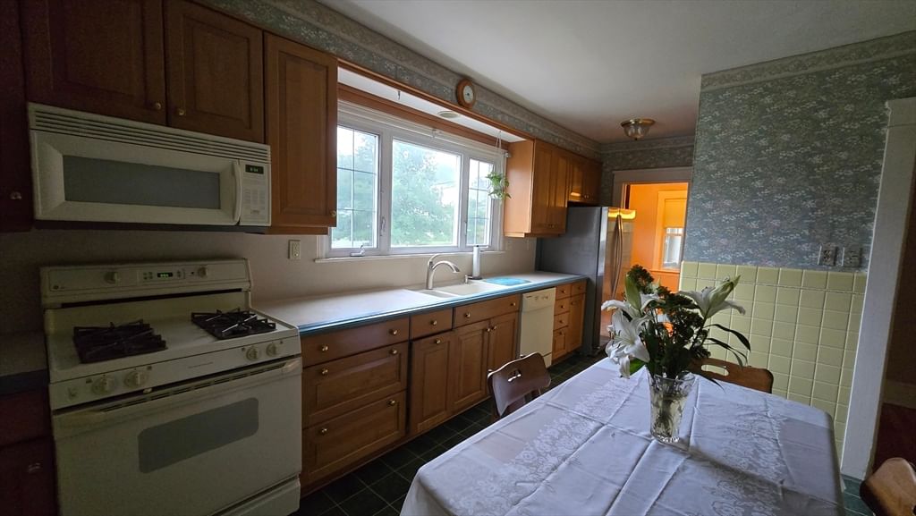 21 Arbutus Road Worcester — Photo 30 of 36