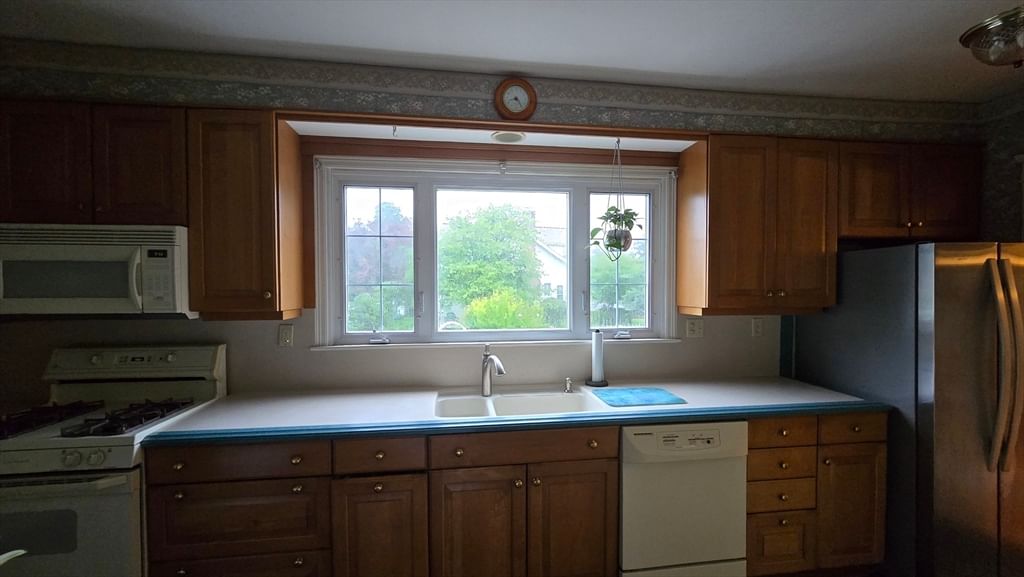 21 Arbutus Road Worcester — Photo 31 of 36