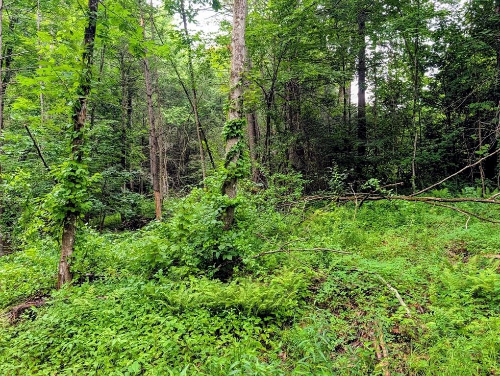 18 Pond Brook Road Huntington — Photo 3 of 3