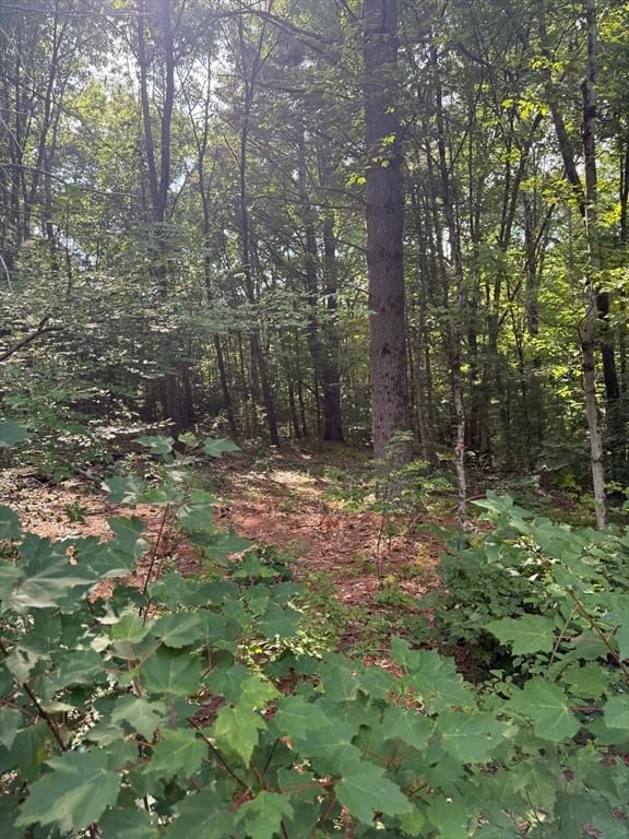 291 Warren Rd Brimfield — Photo 3 of 4