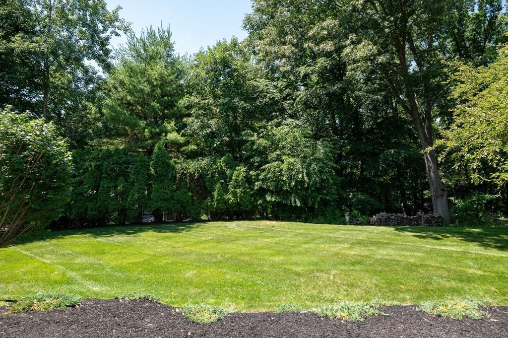 9 Cranbrook Rd Shrewsbury — Photo 36 of 42