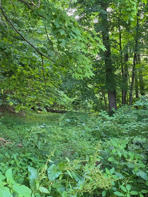 0 Ann St. Haverhill — Photo 6 of 9