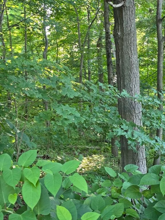 0 Ann St. Haverhill — Photo 7 of 9