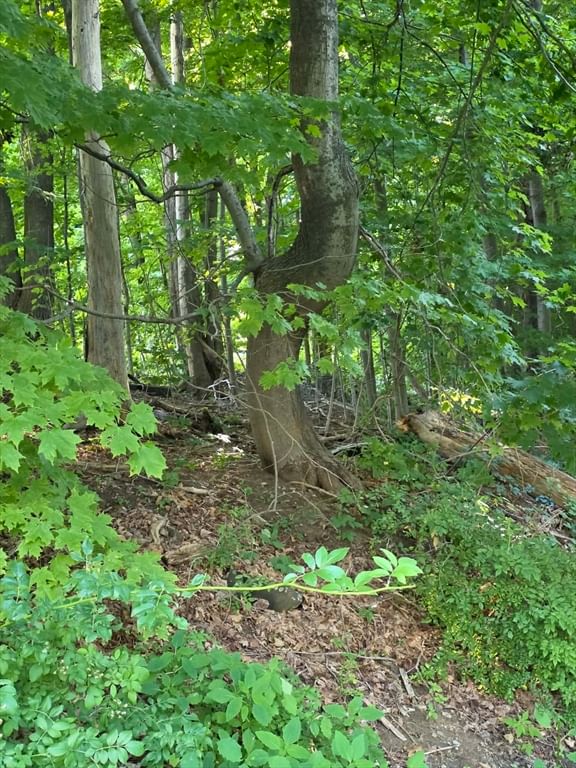 0 Ann St. Haverhill — Photo 9 of 9