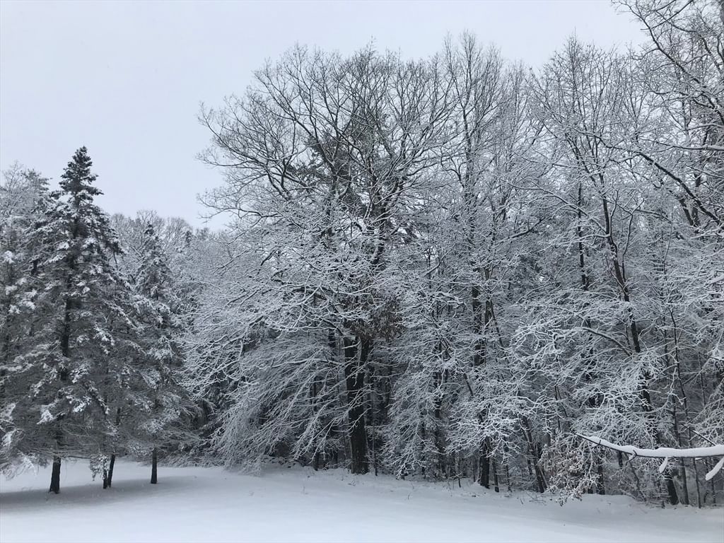 104 Ball Hill Rd Princeton — Photo 40 of 42