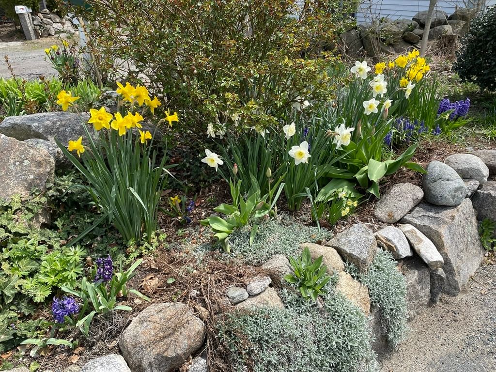 17 Highland Street #1 Rockport — Photo 37 of 41