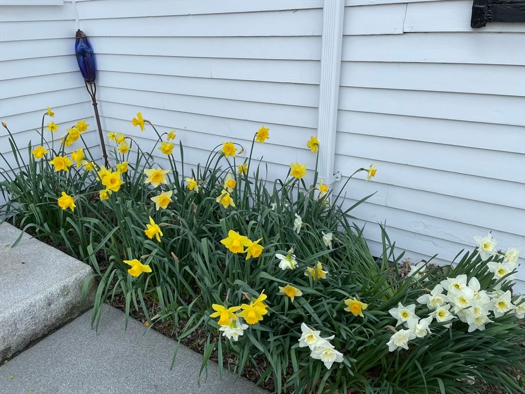 17 Highland Street #1 Rockport — Photo 38 of 41