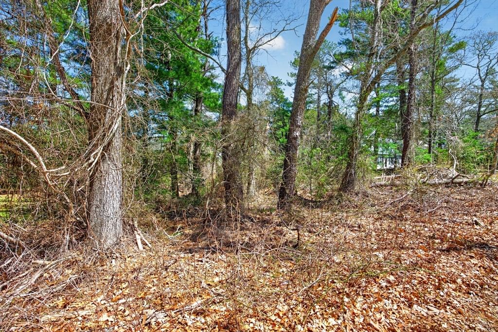 3 Lakeview Drive Sandwich — Photo 6 of 7