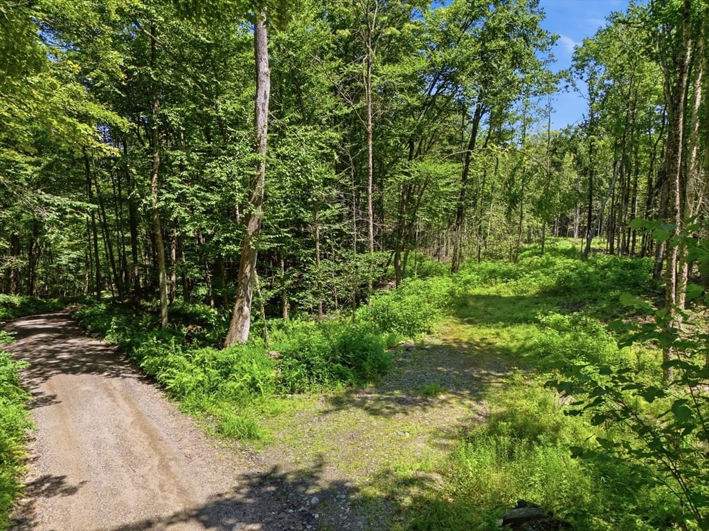 Lot 00 Thayer Hill Road Worthington — Photo 2 of 16