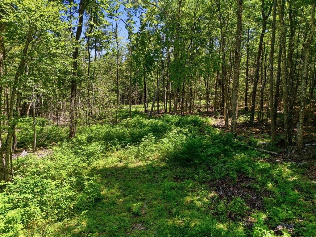 Lot 00 Thayer Hill Road Worthington — Photo 3 of 16