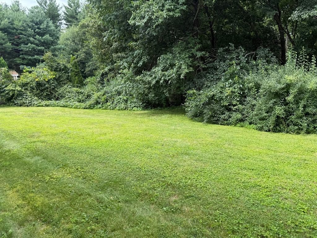 44 Zenith Drive Worcester — Photo 24 of 24