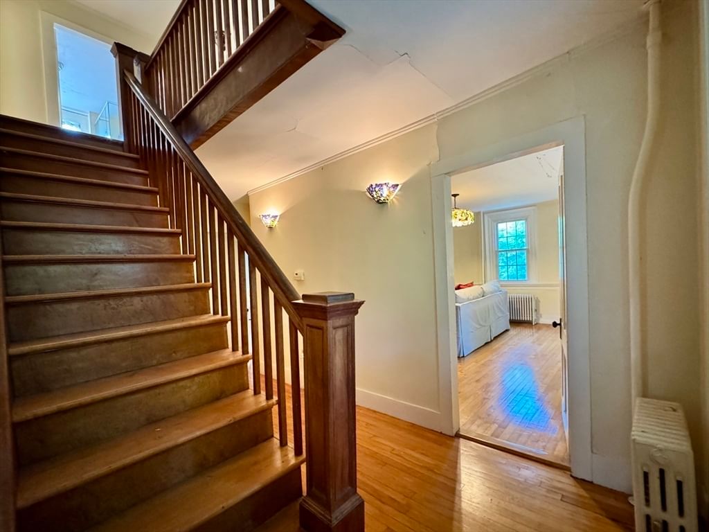 238 Briar Hill Rd Ashfield — Photo 27 of 42