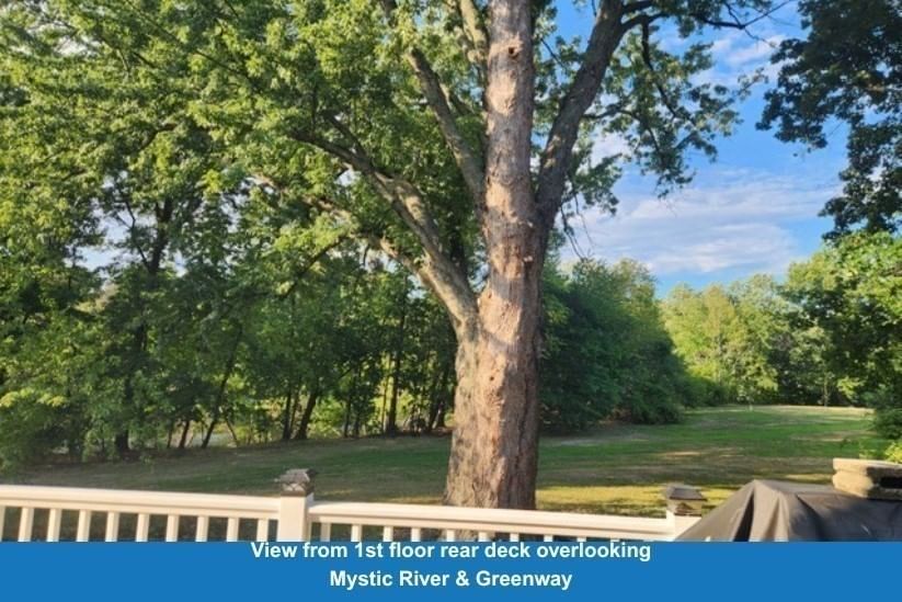 118 Auburn Street Medford — Photo 3 of 40