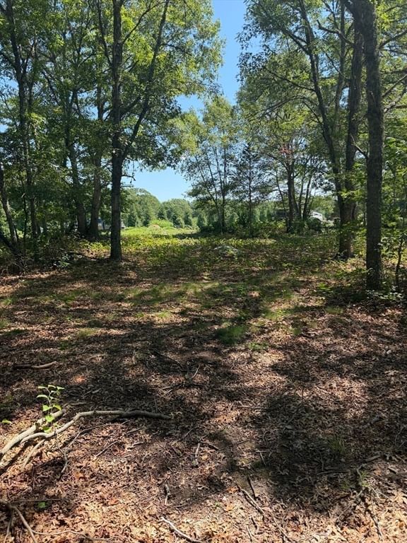 Lot 3 Thomas Cory Ln Westport — Photo 10 of 14